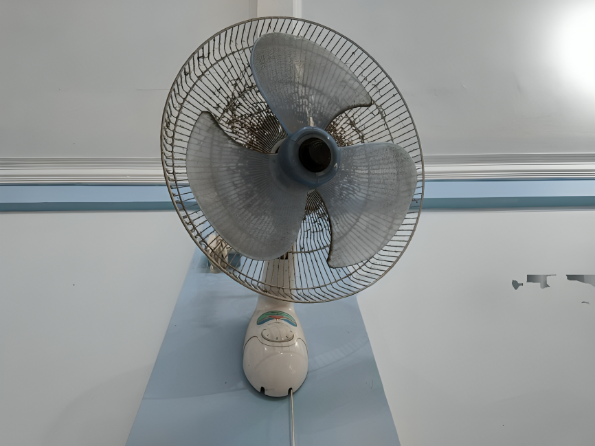Wall Fan Service